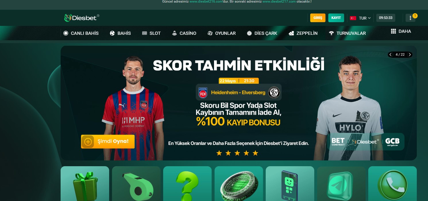Diesbet Giriş